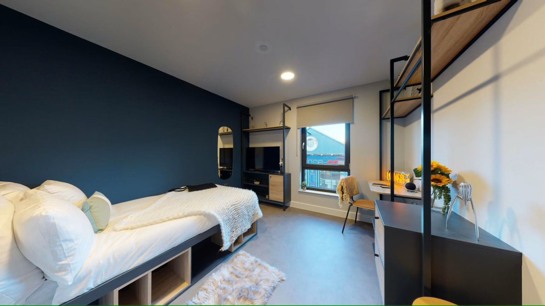 Social Townhouse Room Plus